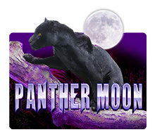 Panther Moon